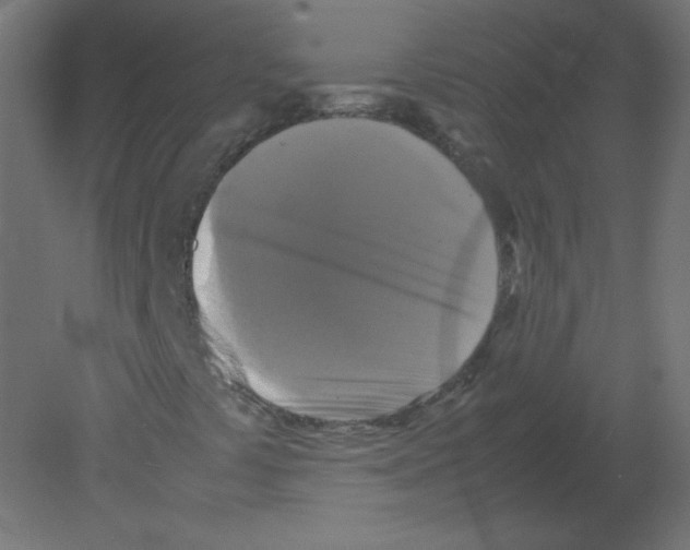 X0000080761441200701122017