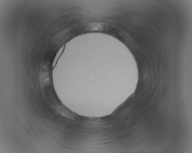 X0000080761442200701122017