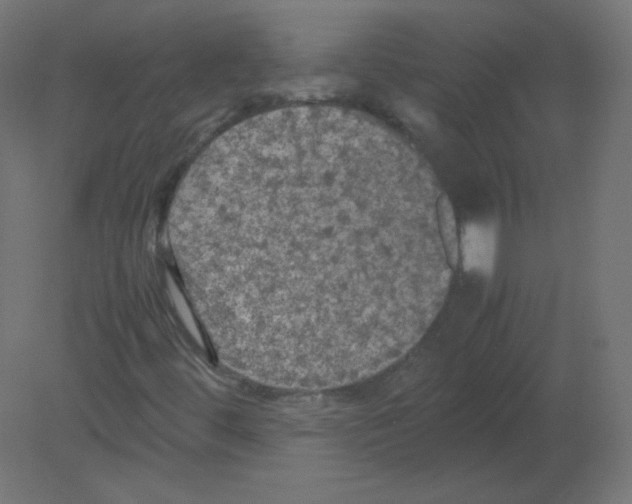 X0000080761444200701122017