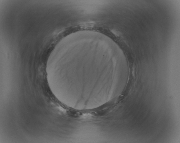 X0000080761445200701122017