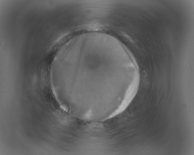 X0000080761446200701122017