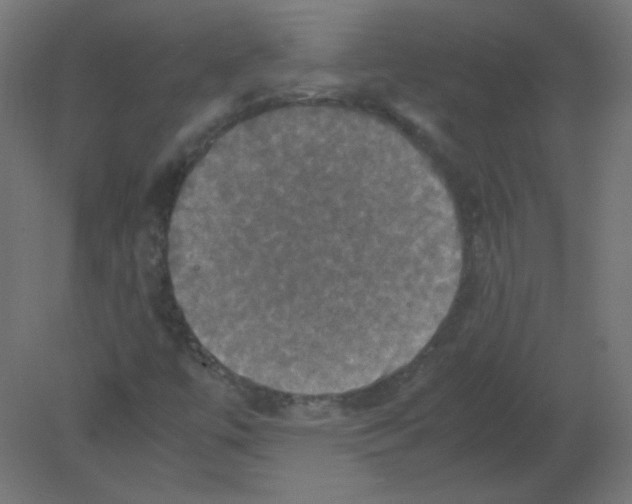 X0000080761447200701122017