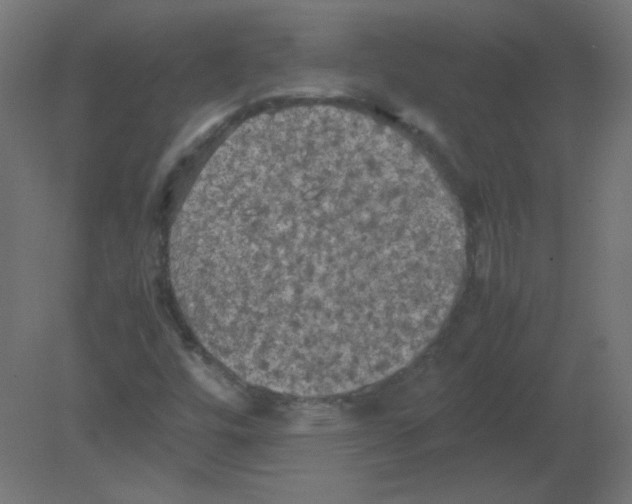 X0000080761448200701122017