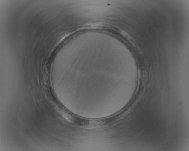 X0000080761449200701122017