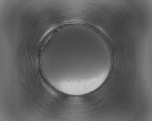 X0000080761450200701122017