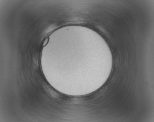 X0000080761451200701122017