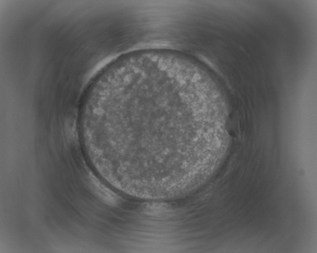 X0000080761452200701122017