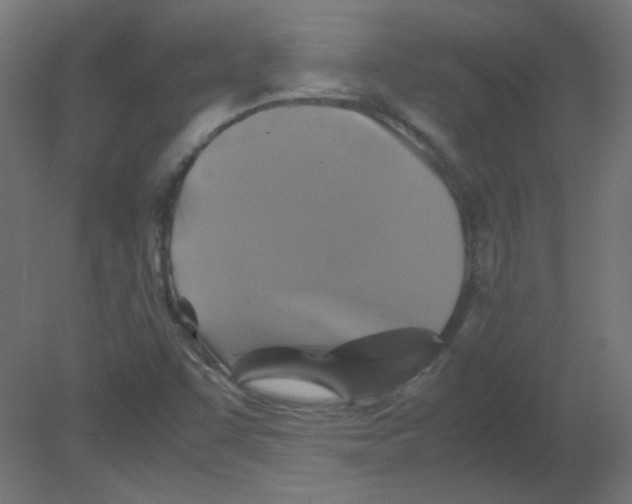 X0000080761455200701122017