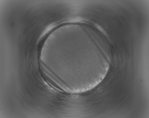 X0000080761456200701122017