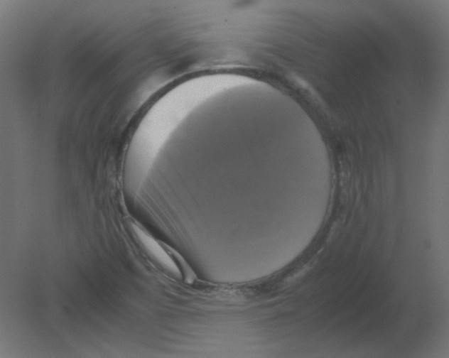 X0000080761457200701122017