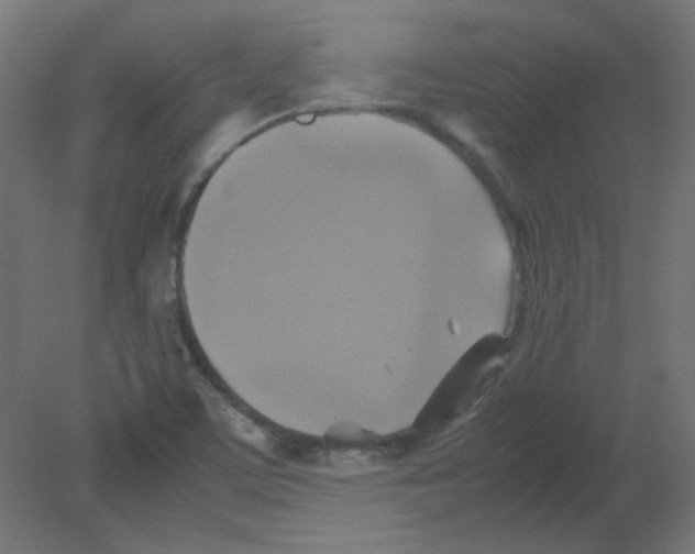 X0000080761459200701122016