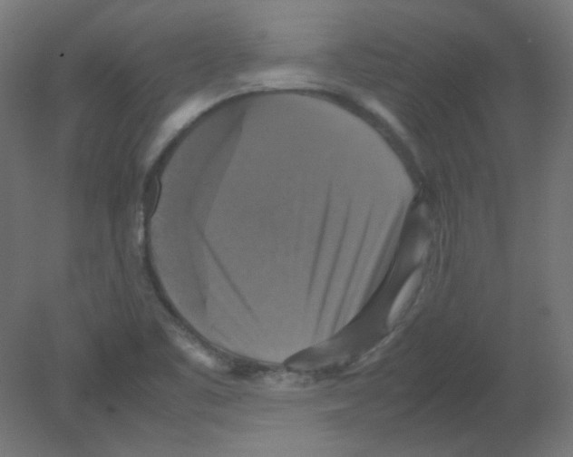 X0000080761461200701122016