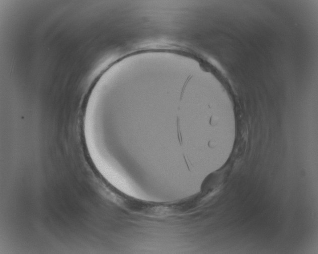X0000080761463200701122016