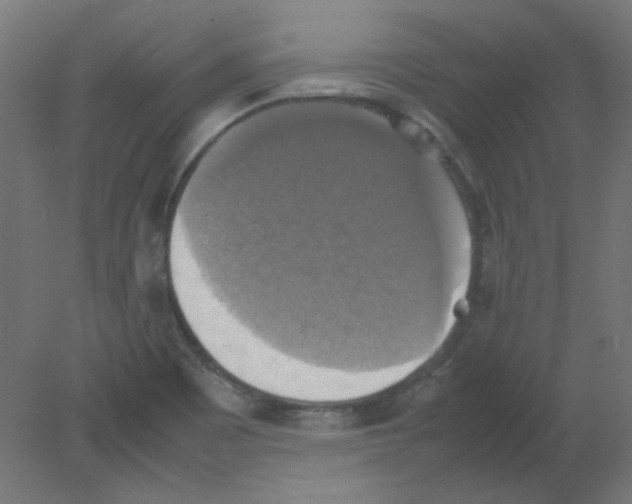 X0000080761465200701122016