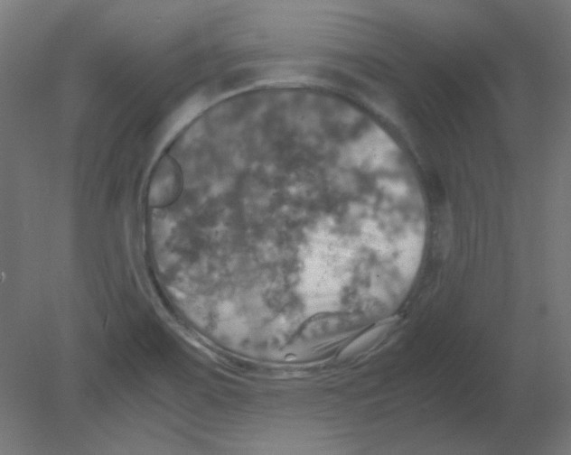 X0000080761467200701122016