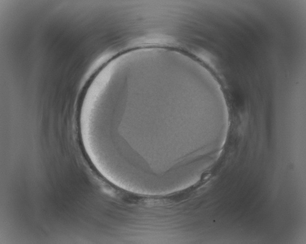 X0000080761469200701122016