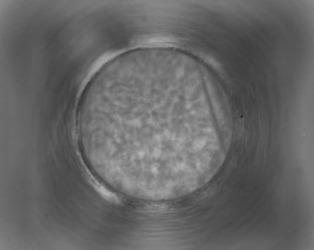 X0000080761470200701122016