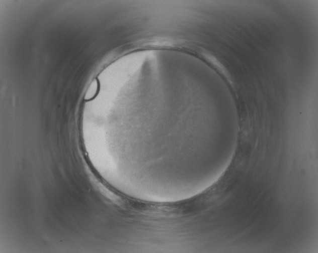 X0000080761475200701122016