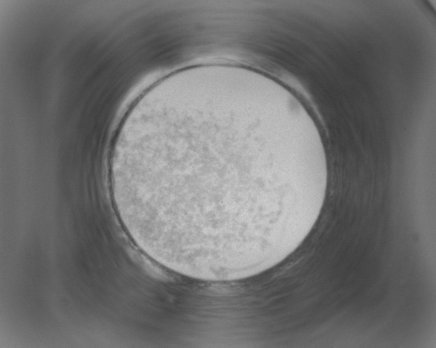 X0000080761480200701122016