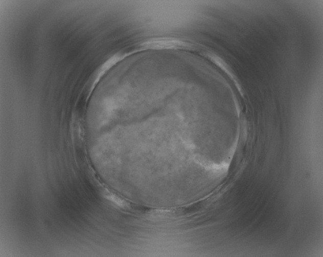 X0000080761481200701122016