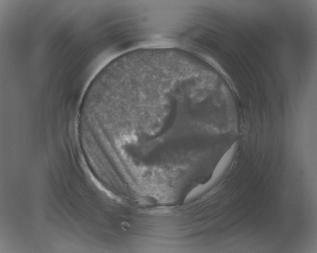 X0000080761484200701122016
