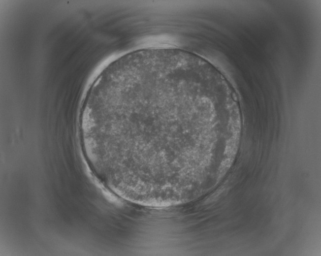 X0000080761488200701122016