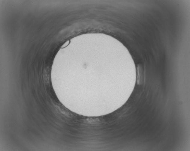 X0000080761491200701122015