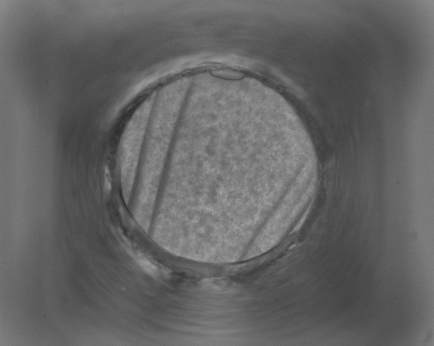 X0000080761496200701122015