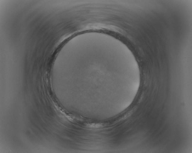 X0000080761497200701122015