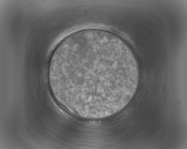 X0000080761504200701122015