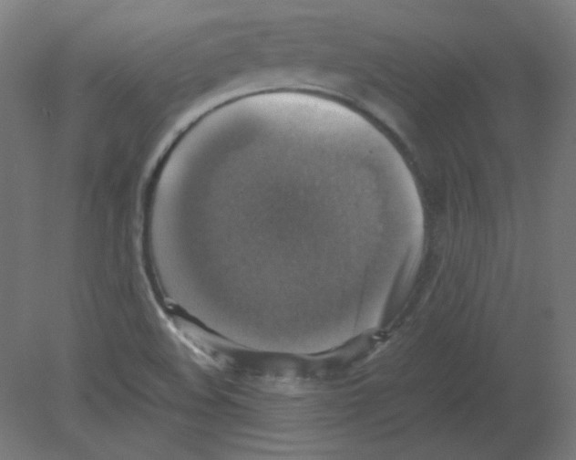 X0000080761508200701122015