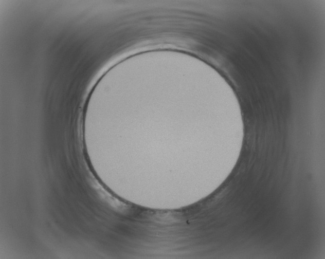 X0000080761516200701122016