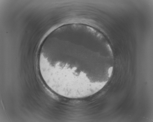 X0000080761517200701122016