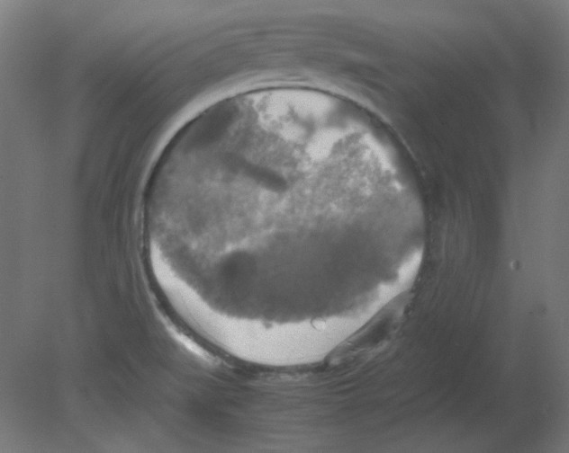 X0000080761519200701122016