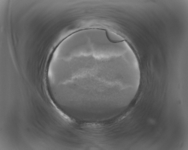 X0000080761525200701122016
