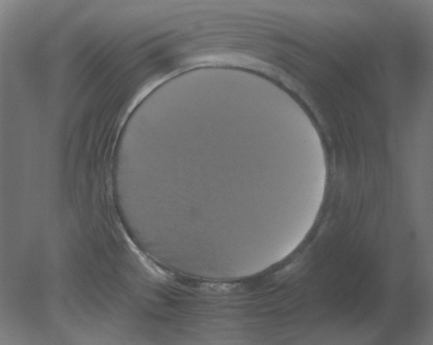 X0000080761529200701122016