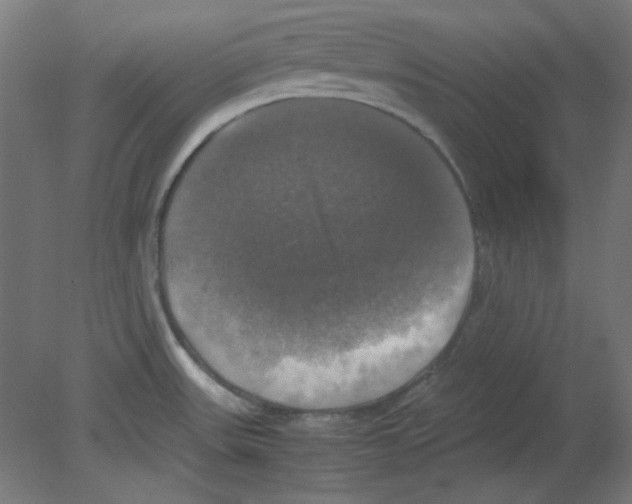 X0000080761531200701122016