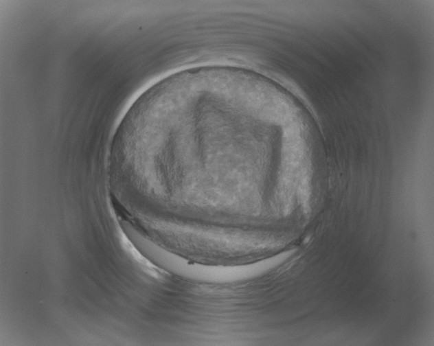 X0000080761532200701122016