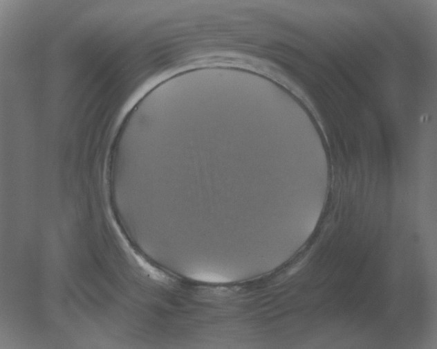 X0000080761533200701122016