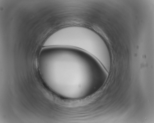 X0000080770021200612151010