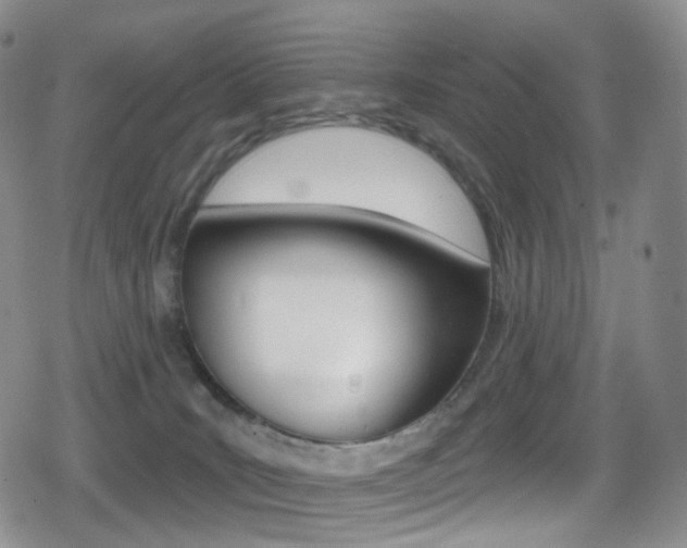 X0000080770035200612151010