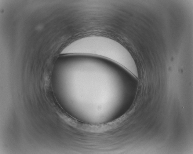 X0000080770037200612151010