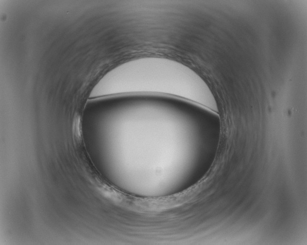 X0000080770041200612151010