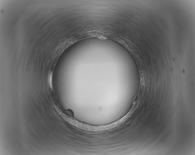 X0000080770047200612151010
