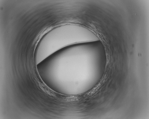 X0000080770050200612151009
