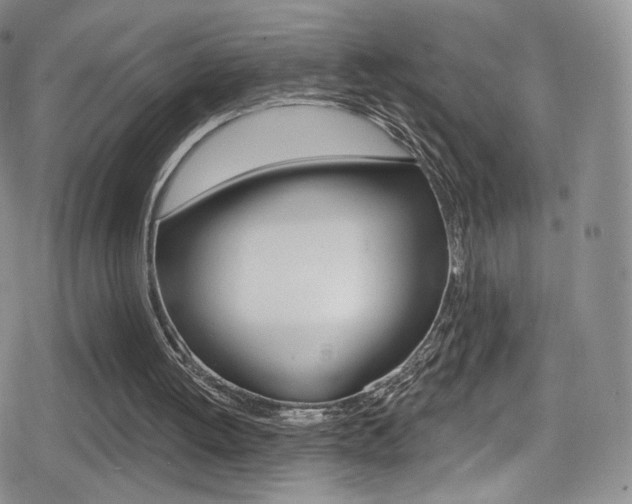 X0000080770052200612151009