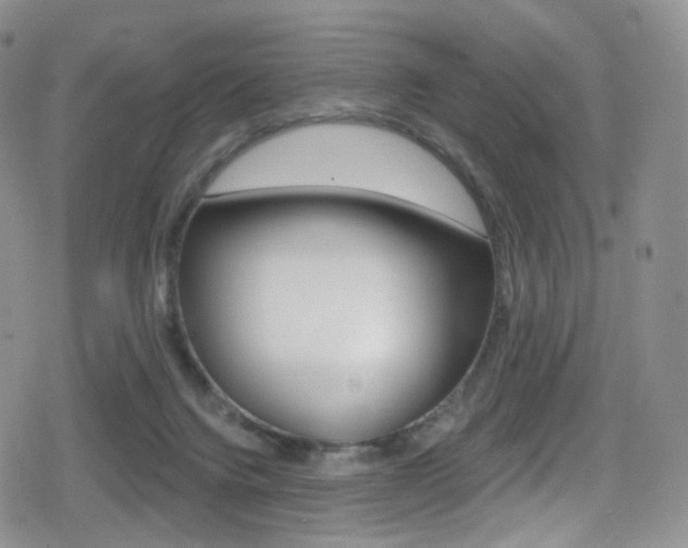 X0000080770072200612151009