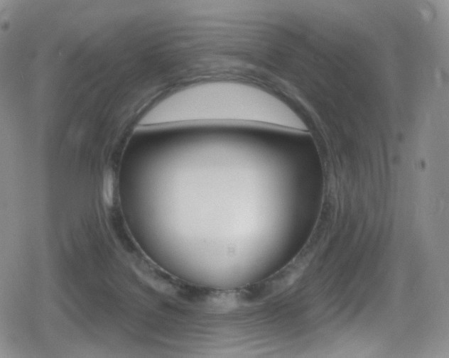 X0000080770076200612151009