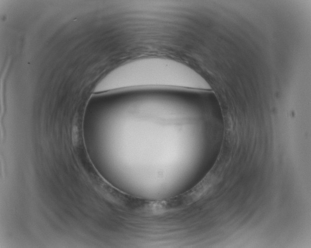 X0000080770080200612151009