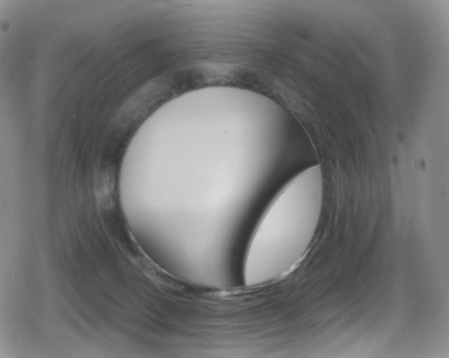 X0000080770082200612151010